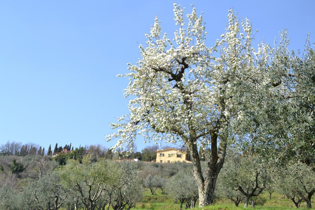 Agriturismo La Corte Pistoia Exterior foto